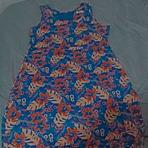 Columbia dress size large
